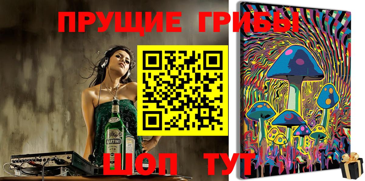 Псилоцибиновые грибы Psilocybe  Вход с VPN  Ставрополь 