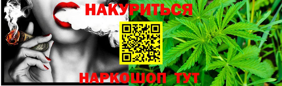 Бошки Шишки VHQ Ставрополь
